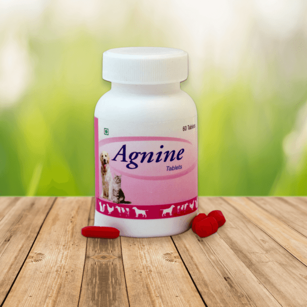Aginine tabletta 60 db